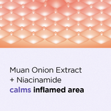 ISNTREE ONION NEWPAIR SPOT PATCH